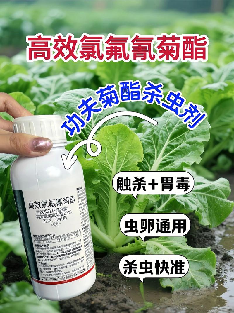 三明代生中心:农药对供卵代生妈妈的危害